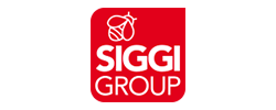 Siggi Group